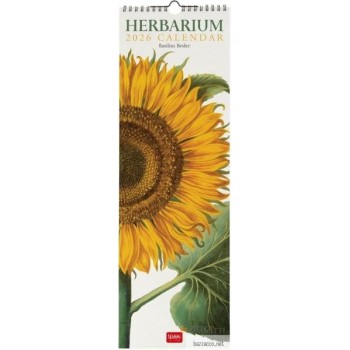 CALENDARIO LEGAMI 16X49...